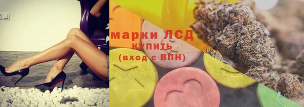 прущие грибы Белокуриха