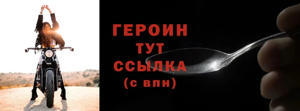 прущие грибы Белокуриха