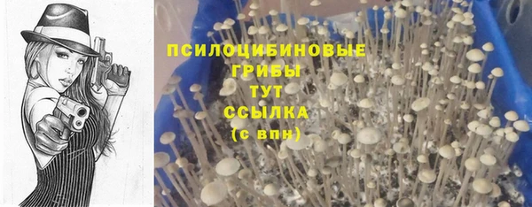экстази Арсеньев