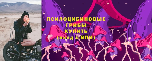 прущие грибы Белокуриха